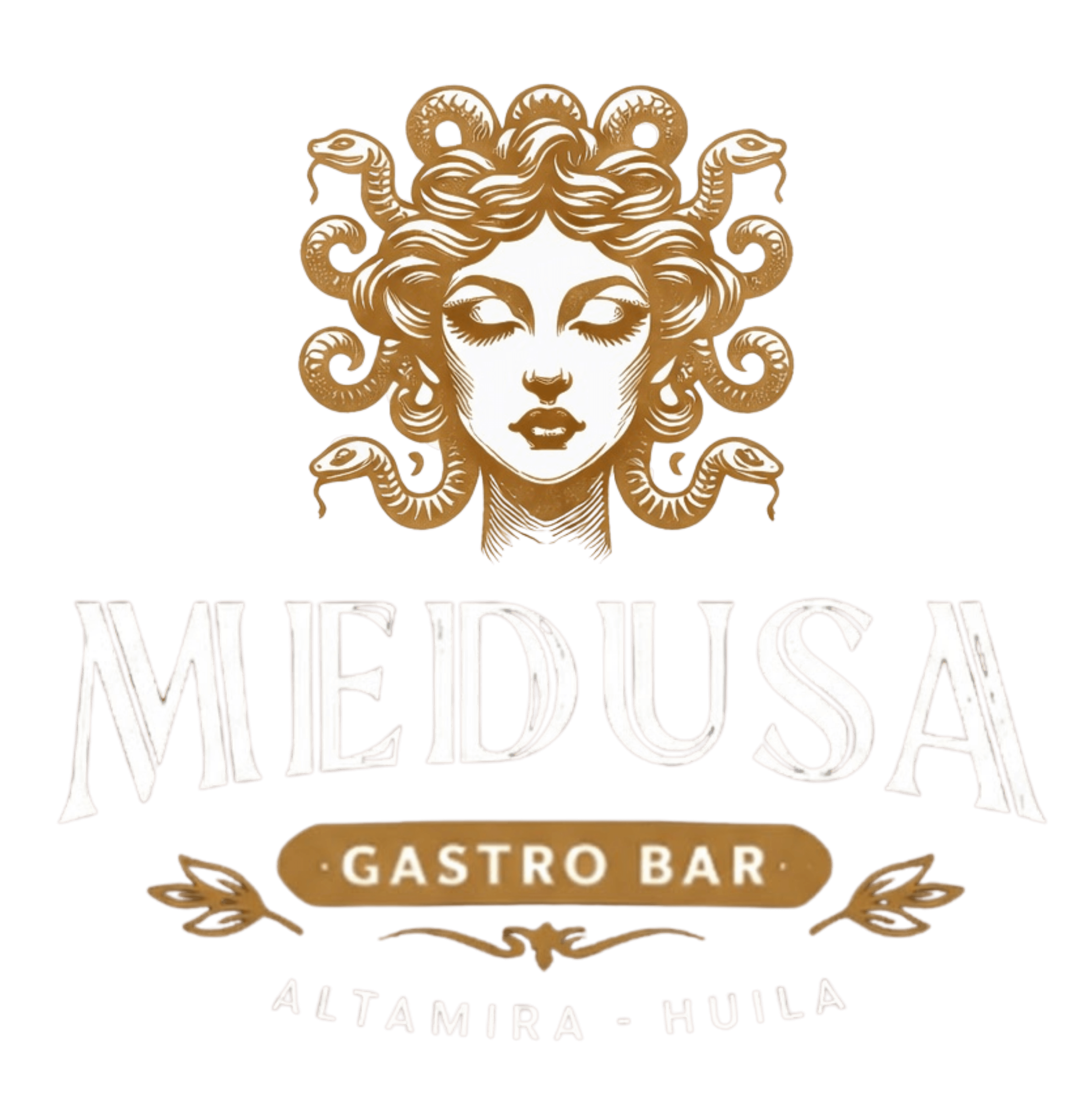 MEDUSA Logo